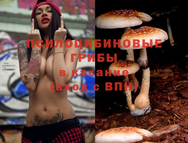COCAINE Алексеевка
