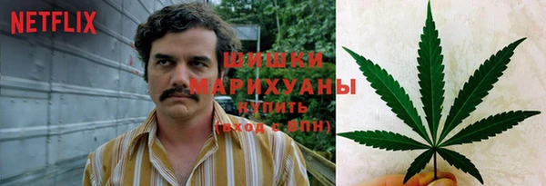 амф Алзамай