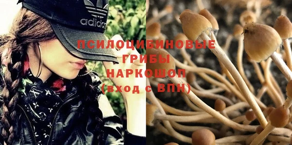 амф Алзамай