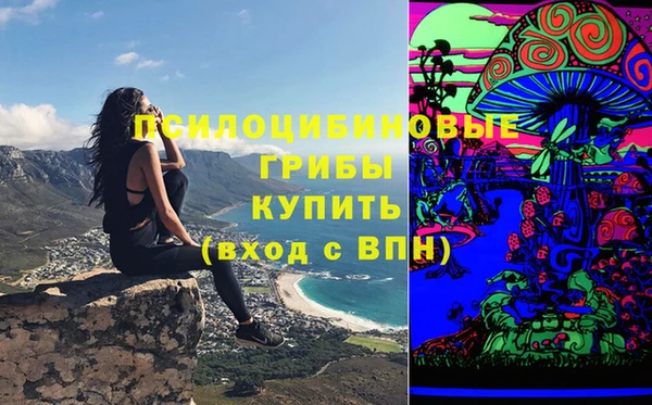амф Алзамай