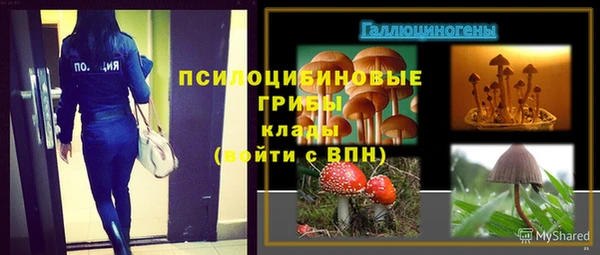 амф Алзамай