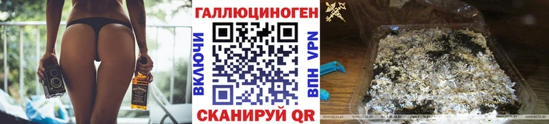 Псилоцибиновые грибы Psilocybe  Тара 